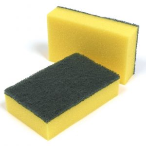 CleanSource® Contract Green Sponge Scourers (1x10)